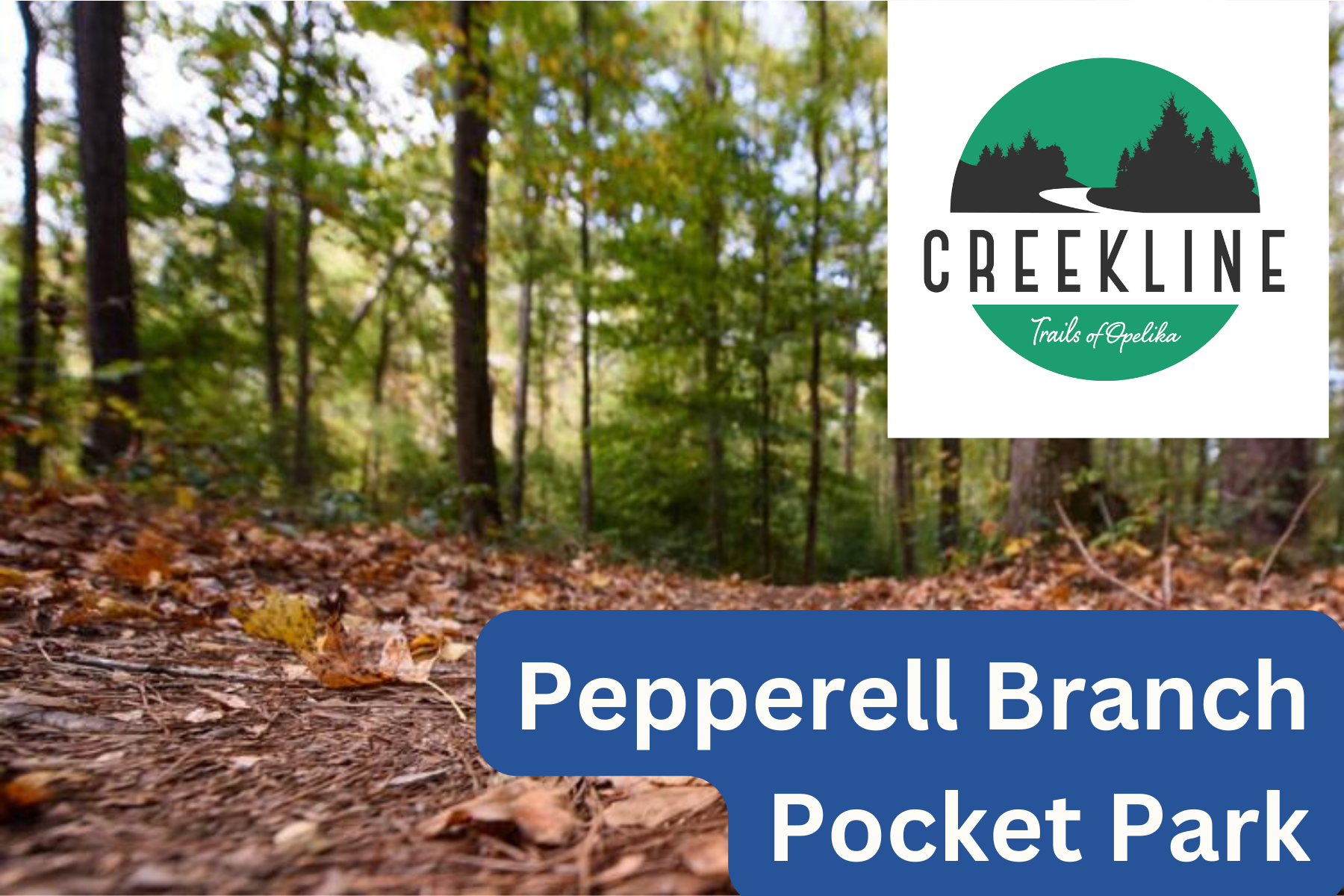 Pepperell Branck Pocket Park